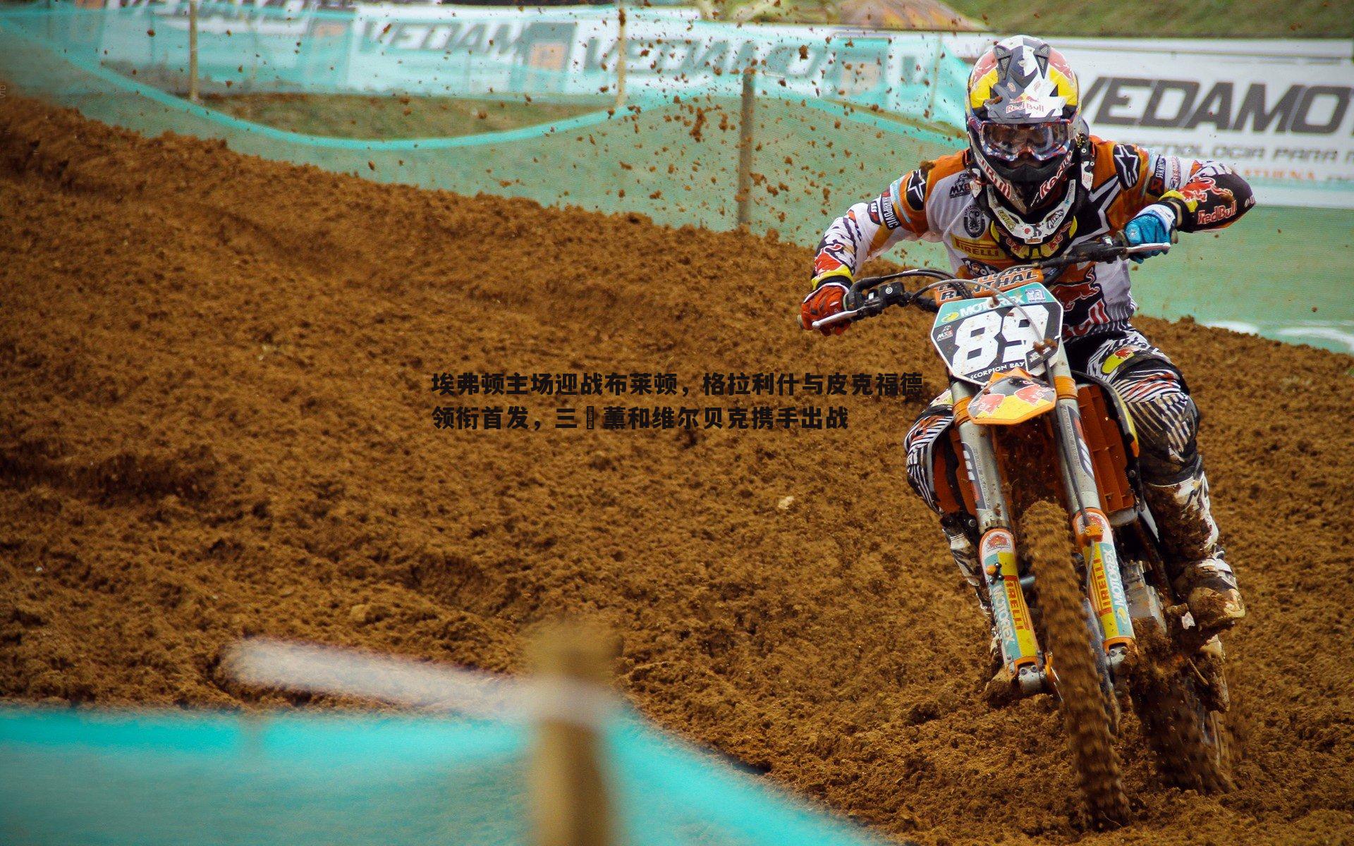 埃弗顿主场迎战布莱顿，格拉利什与皮克福德领衔首发，三笘薰和维尔贝克携手出战