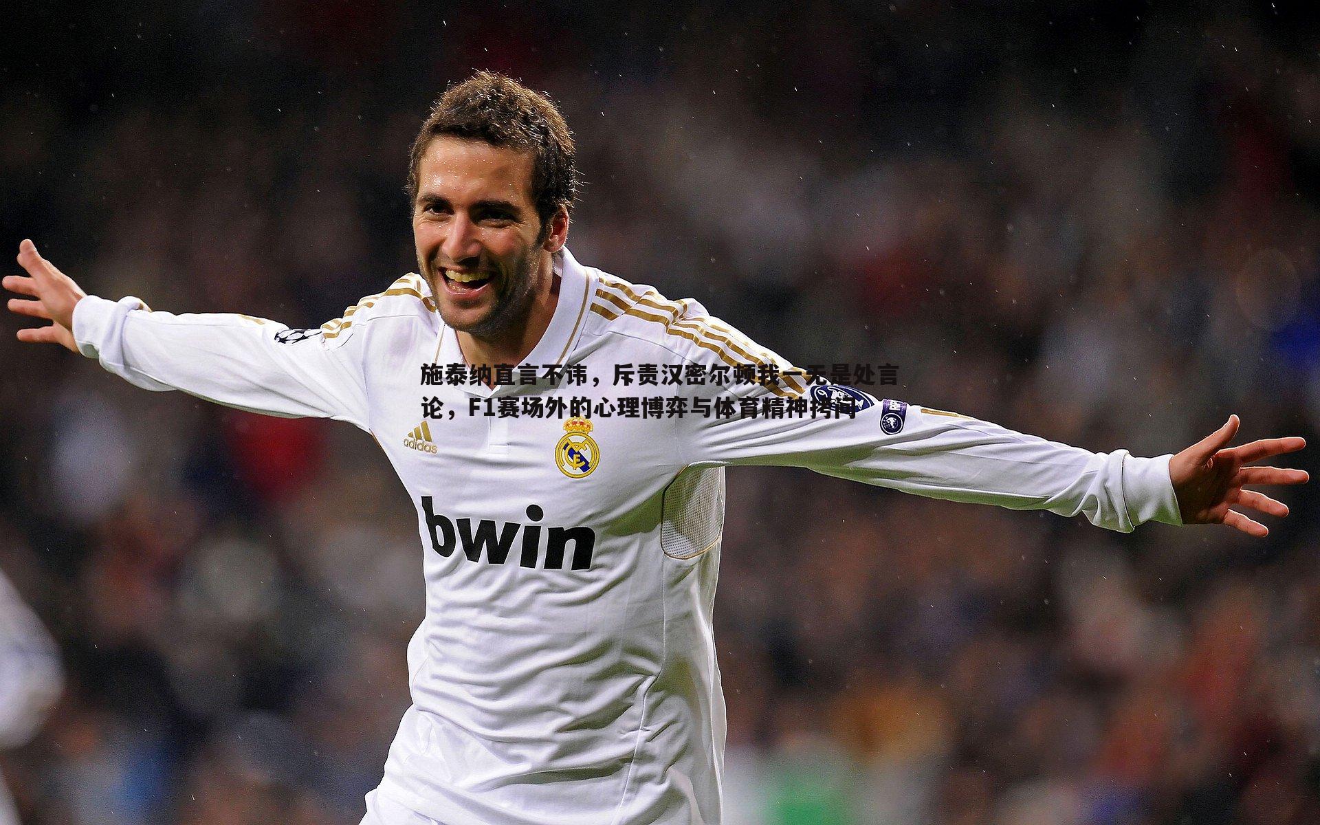 意昂体育-施泰纳直言不讳，斥责汉密尔顿我一无是处言论，F1赛场外的心理博弈与体育精神拷问